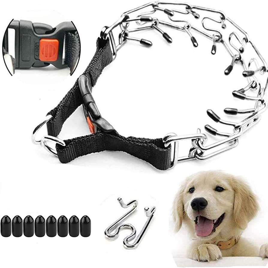 how should you place a prong collar on a dog? Dogshunter